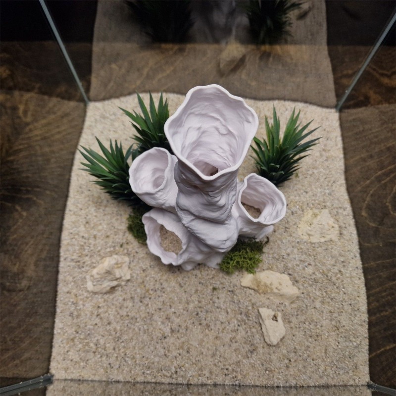 Aquarium Fish Sale - Promo Terbatas Terarium Hias 3D Cetak