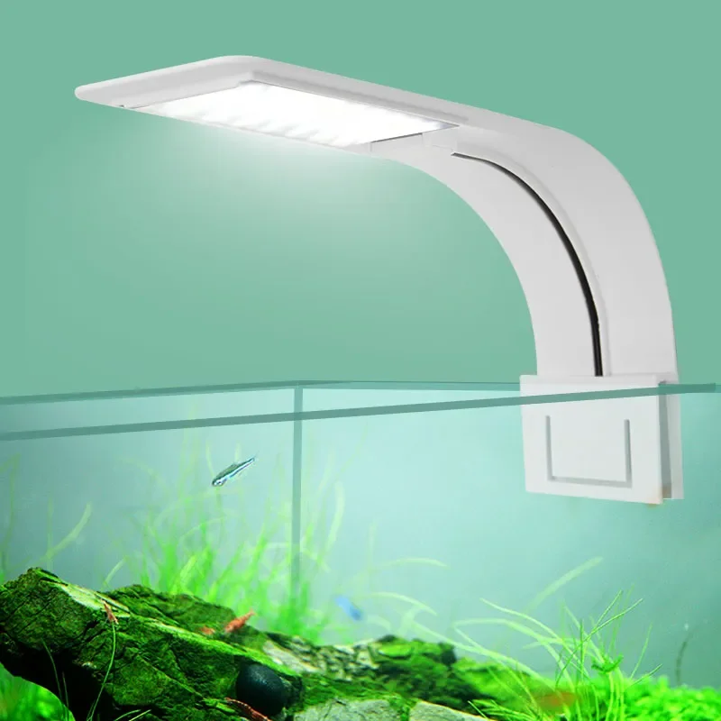 Fish In Aquarium Picture - Lampu Akuarium LED Super Tipis Lampu