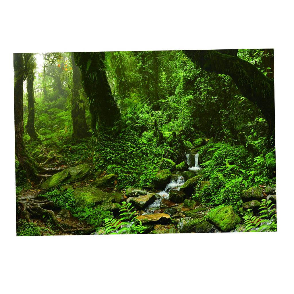 Aquarium Fish Poster - Poster Latar Belakang Akuarium Warna-warna Cerah