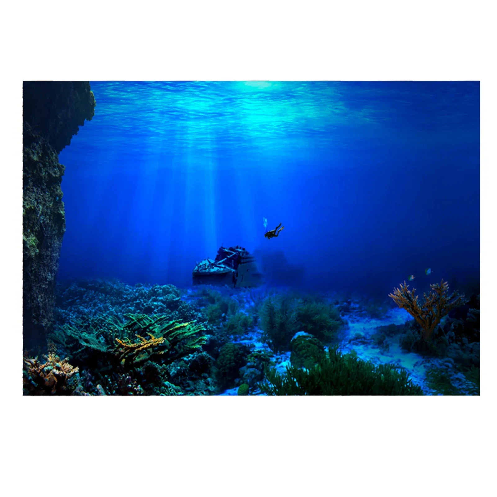 Fish In Aquarium Picture - Hutan hujan akuarium Poster latar belakang