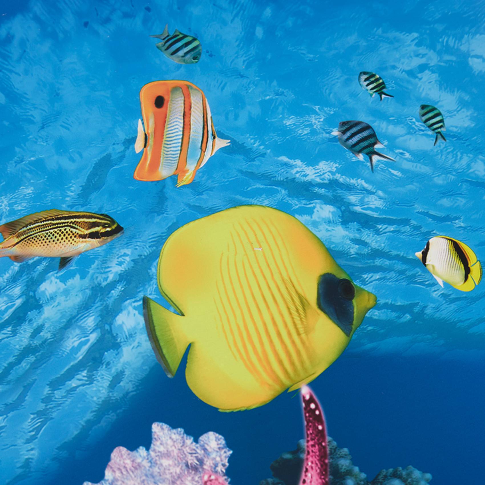 Fish In Aquarium Picture - Latar Belakang Akuarium BAAU Kertas Gambar