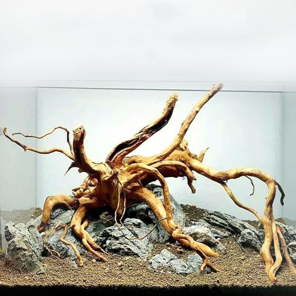 Aquarium Fish Big - Kayu Apung Akuarium Besar 20-25CM, Dekorasi