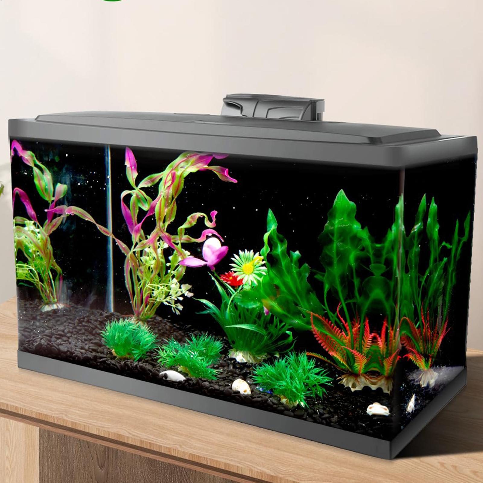Fish In Aquarium Picture - Gambar Latar Belakang Akuarium Hitam, Wallpaper