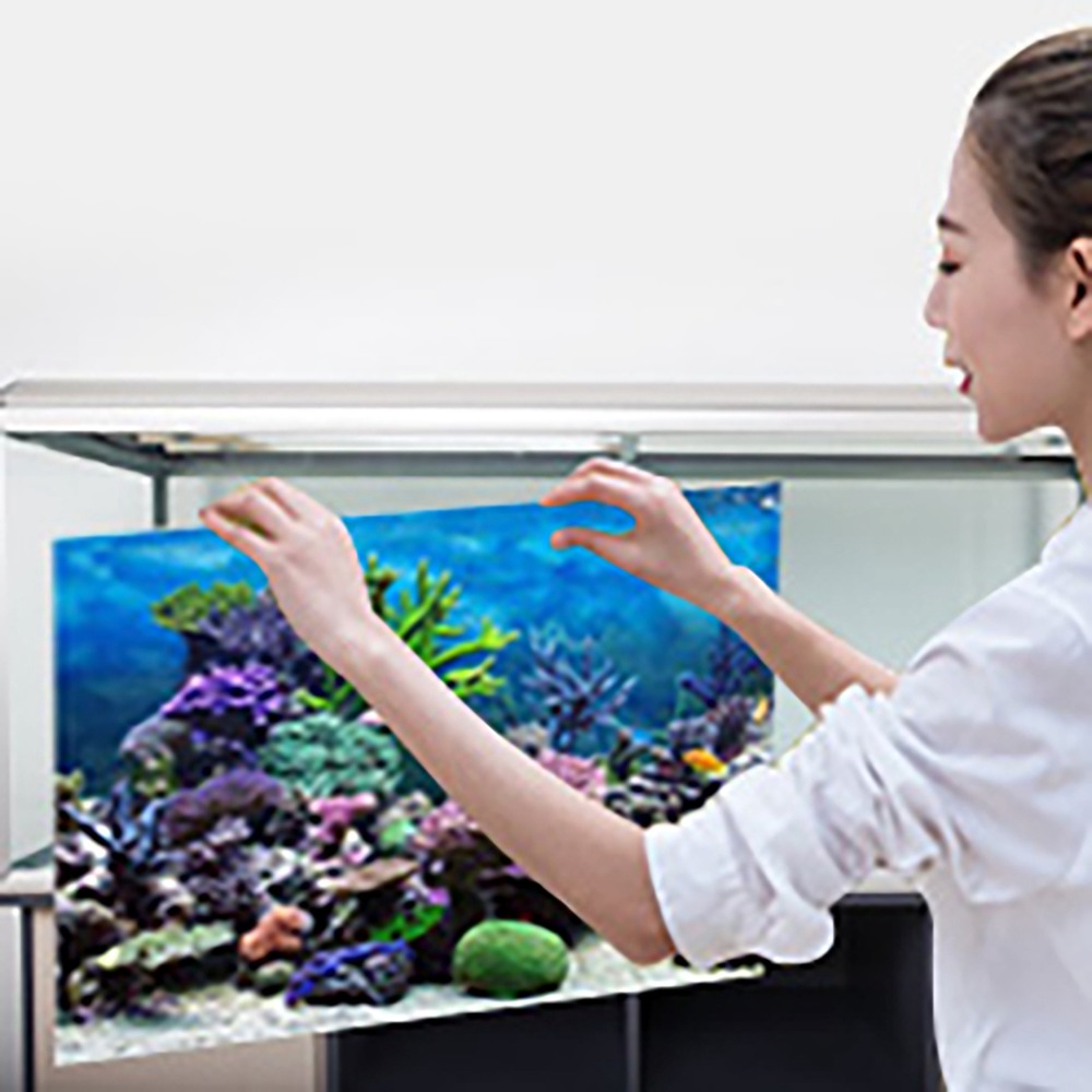 Aquarium Fish Poster - Poster Latar Belakang Akuarium PVC Perekat