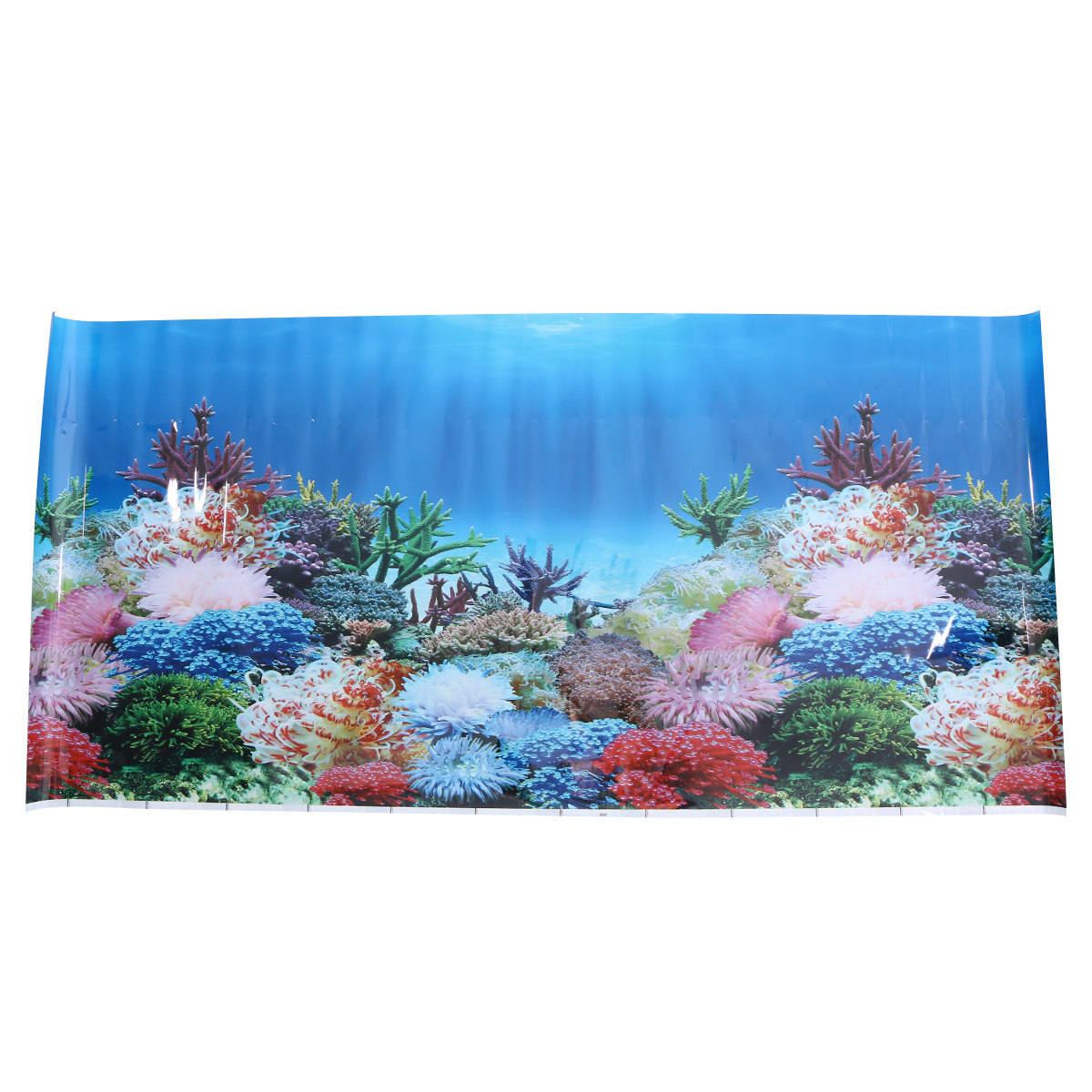 Wallpaper 3D Gambar Akuarium L - Fish In Aquarium Picture ulasan dan harga