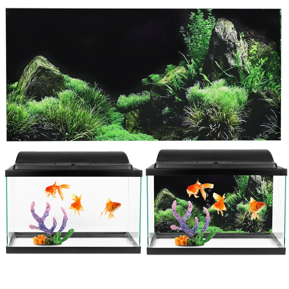 Latar belakang untuk akuarium  - Aquarium Fish Poster ulasan dan harga