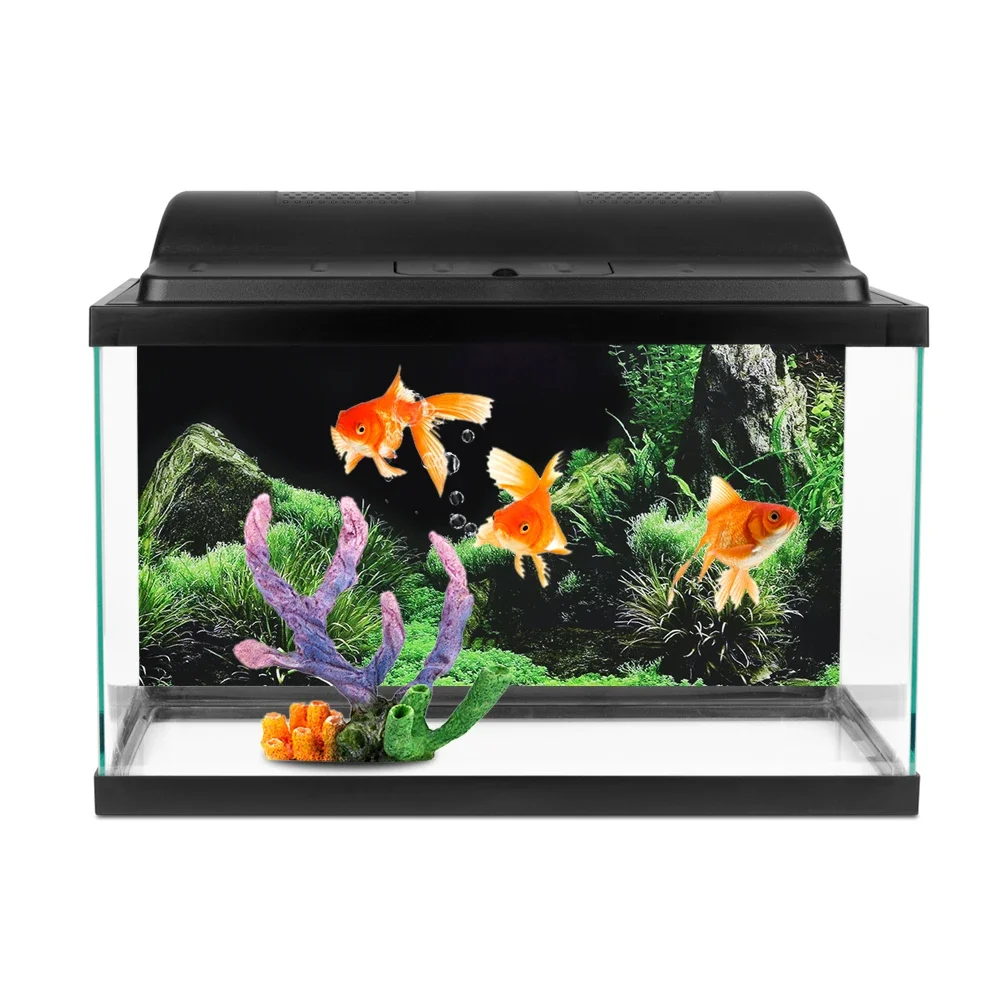 Latar belakang untuk akuarium  - Aquarium Fish Poster ulasan dan harga