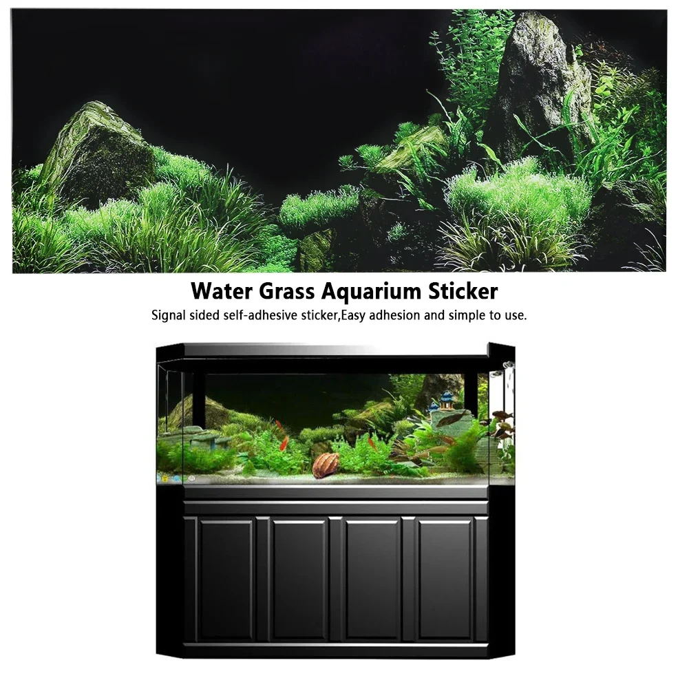 Latar belakang untuk akuarium  - Aquarium Fish Poster ulasan dan harga