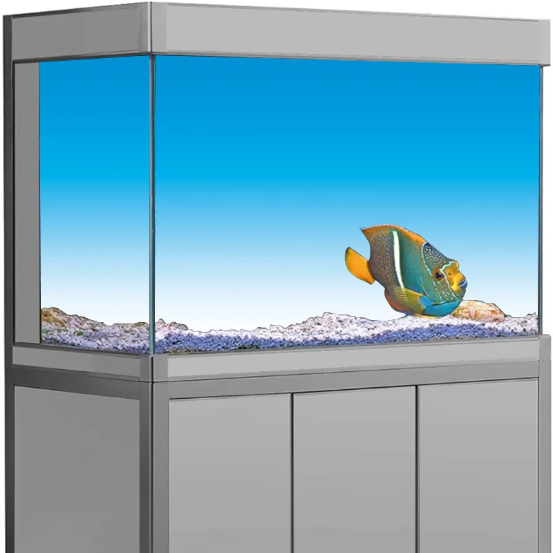 Stiker Latar Belakang Akuarium - Aquarium Fish Wallpaper Hd ulasan dan harga