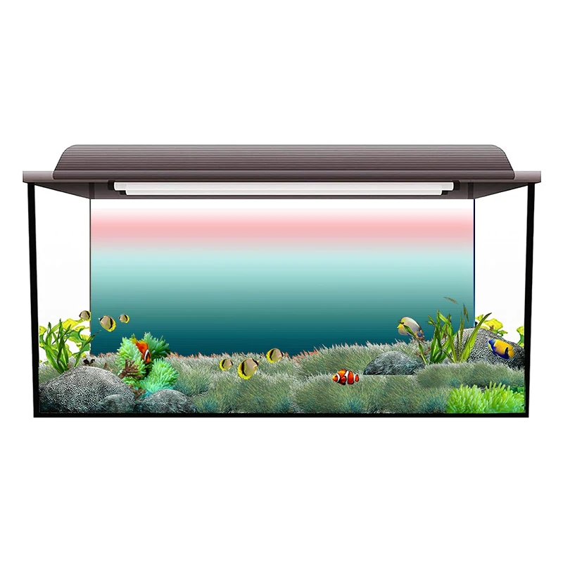 Stiker Latar Belakang Akuarium - Aquarium Fish Wallpaper Hd ulasan dan harga