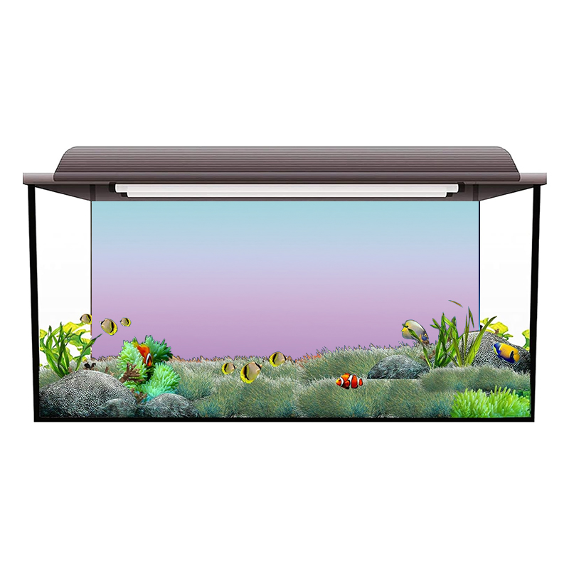 Stiker Latar Belakang Akuarium - Aquarium Fish Wallpaper Hd ulasan dan harga