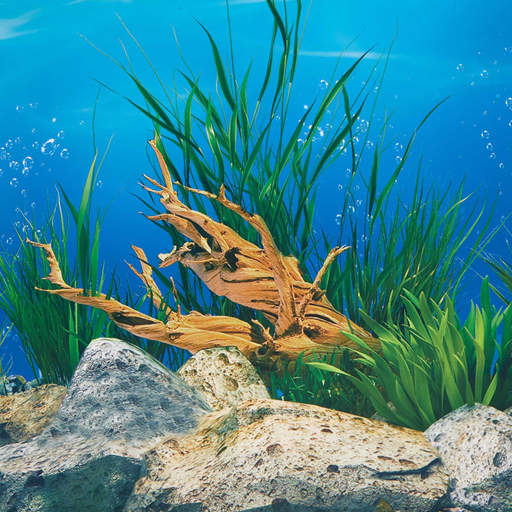 ABWR-Kertas Latar Belakang Aku - Fish In Aquarium Picture ulasan dan harga