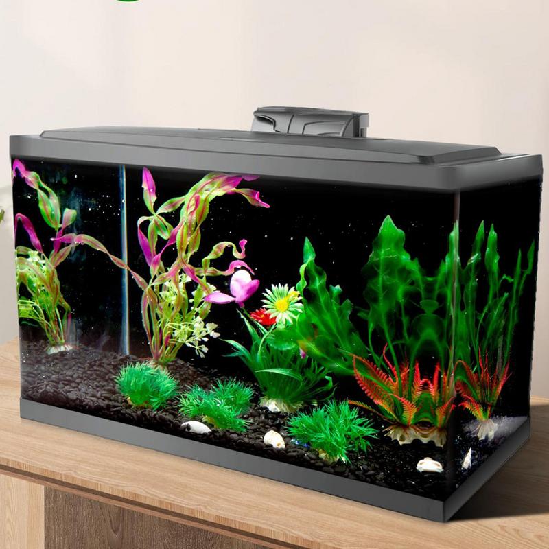 Wallpaper latar belakang akuar - Fish In Aquarium Picture ulasan dan harga