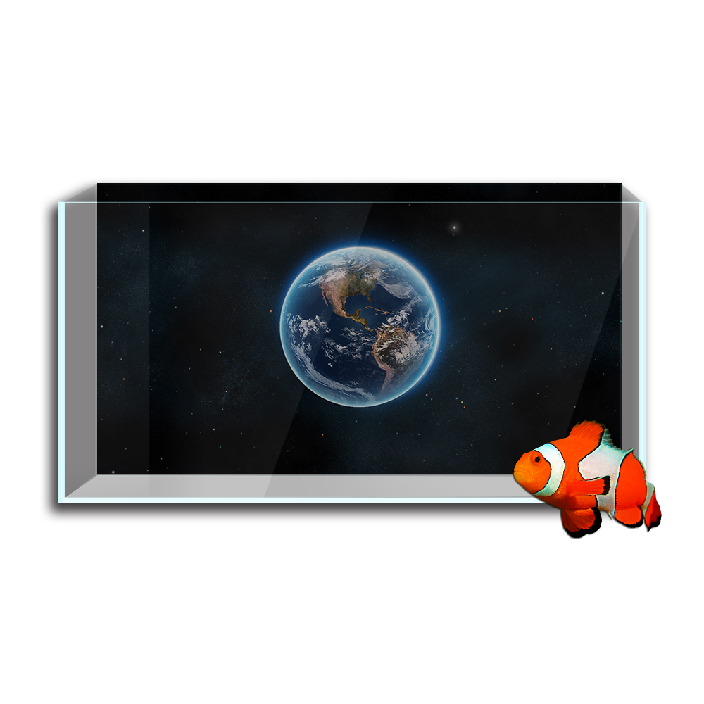 Stiker Latar Belakang Tangki I - Aquarium Fish Poster ulasan dan harga