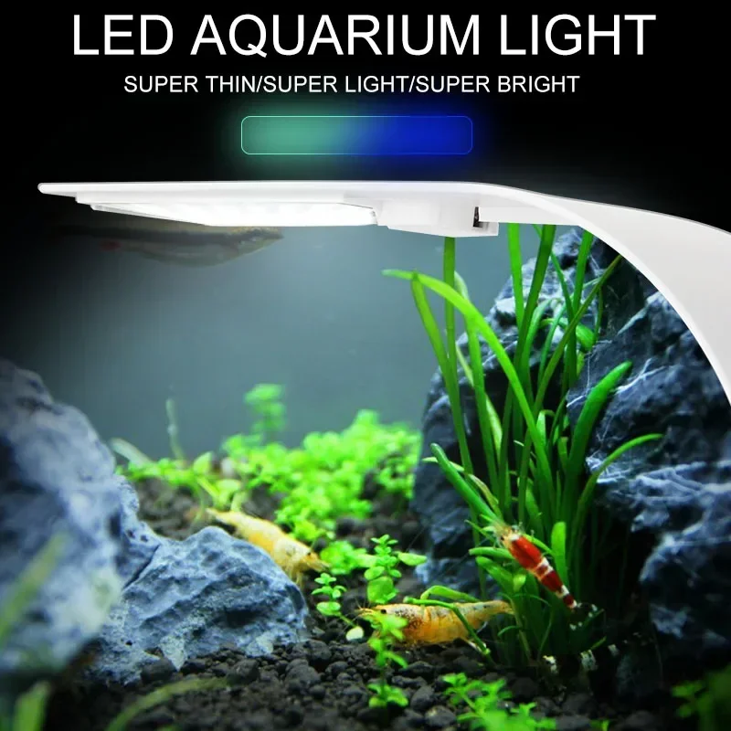 Lampu Aquarium LED, Ultra tipi - Fish In Aquarium Picture ulasan dan harga