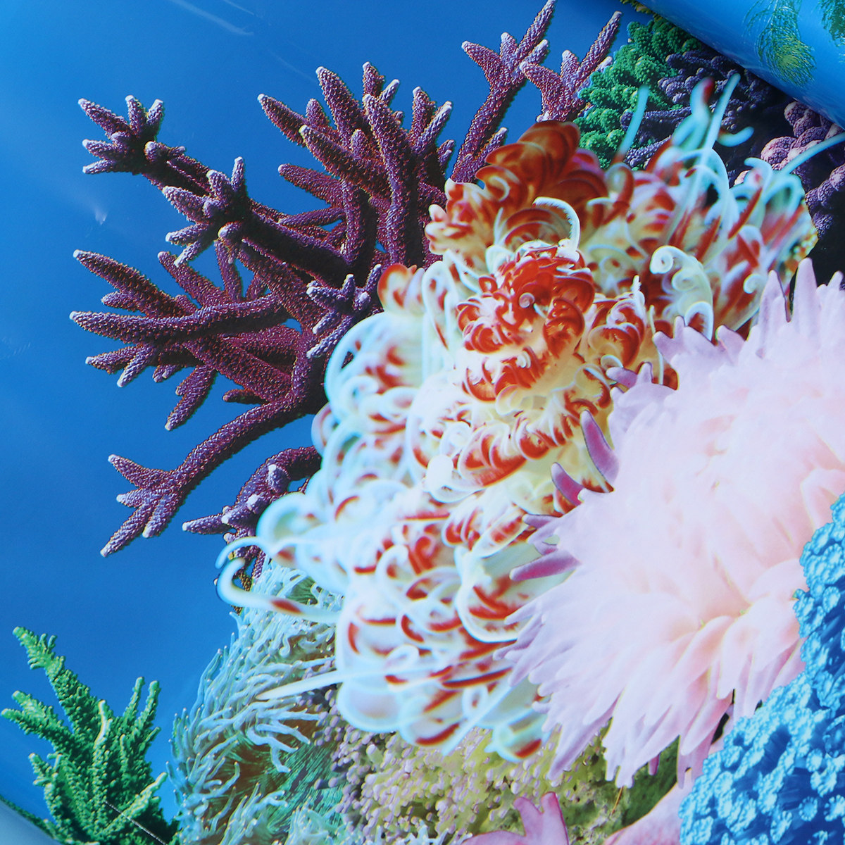 3 D Wallpaper Latar Belakang u - Fish In Aquarium Picture ulasan dan harga