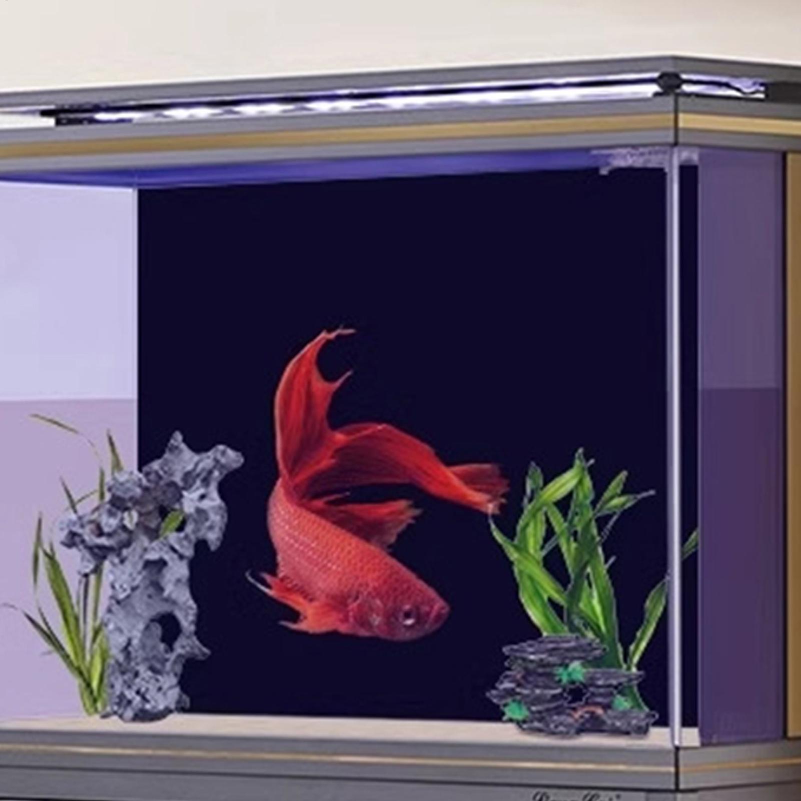 Latar Belakang Akuarium Statis - Aquarium Fish Poster ulasan dan harga