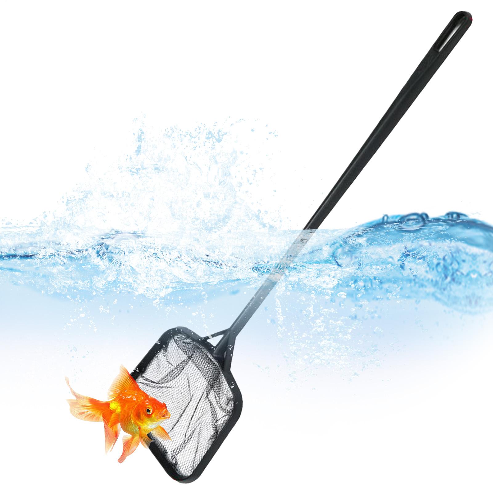 Jaring Kolam Renang untuk Memb - Aquarium Fish To Buy ulasan dan harga