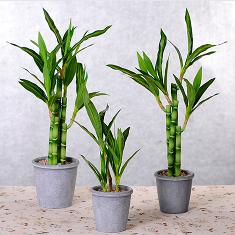 Baru 40Cm RFtificial Bambu Ber - Aquarium Fish To Buy ulasan dan harga