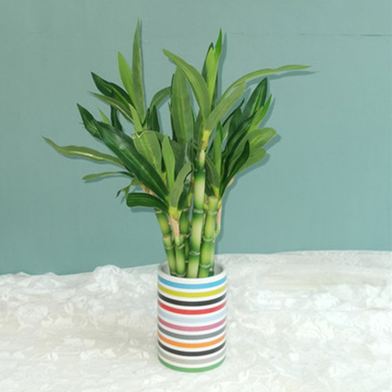 Baru 40Cm RFtificial Bambu Ber - Aquarium Fish To Buy ulasan dan harga