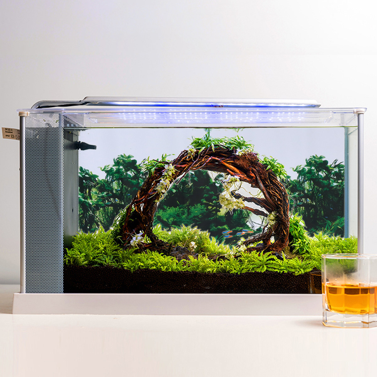 X Latar Belakang Akuarium Deko - Aquarium Fish Poster ulasan dan harga