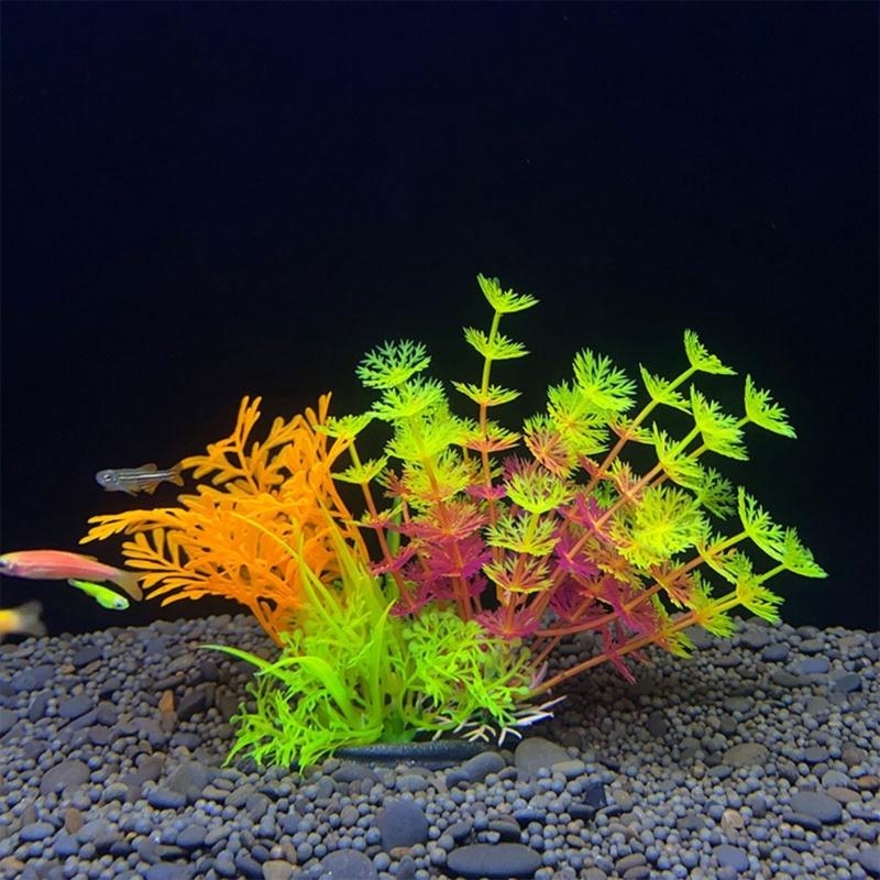 Tanaman Dekorasi Akuarium Buat - Aquarium Fish Sale ulasan dan harga