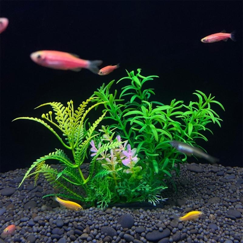Tanaman Dekorasi Akuarium Buat - Aquarium Fish Sale ulasan dan harga