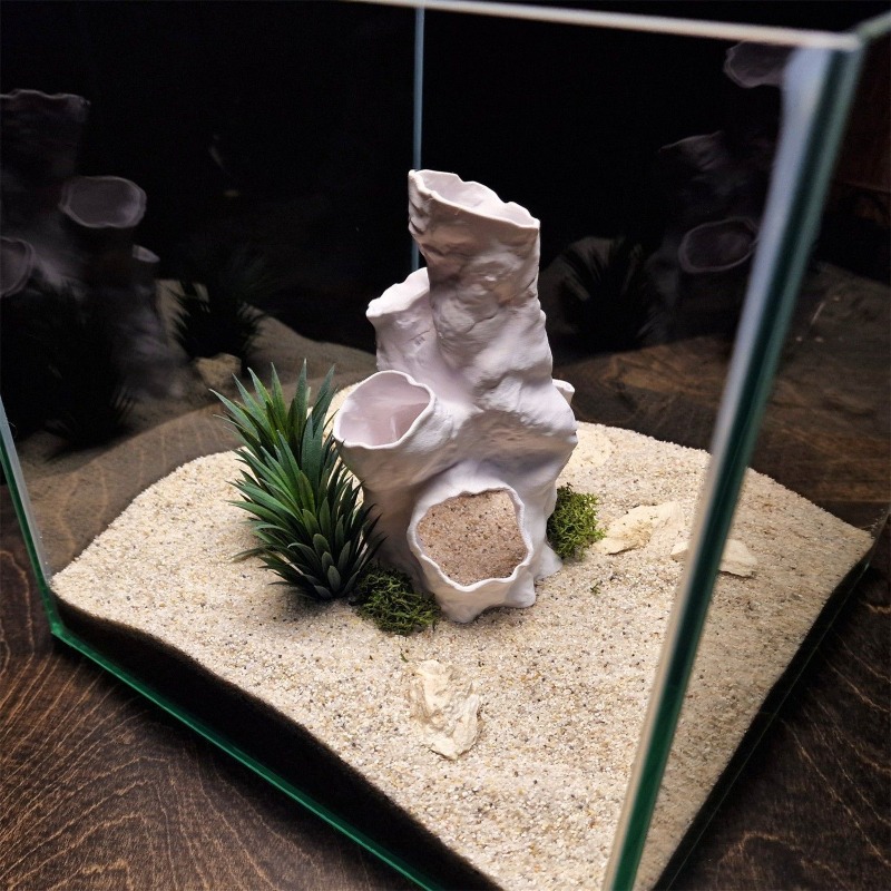 Promo Terbatas Terarium Hias 3 - Aquarium Fish Sale ulasan dan harga