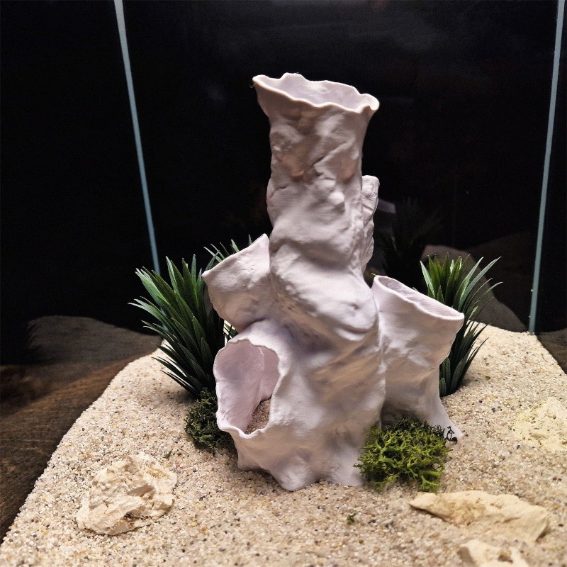 Promo Terbatas Terarium Hias 3 - Aquarium Fish Sale ulasan dan harga