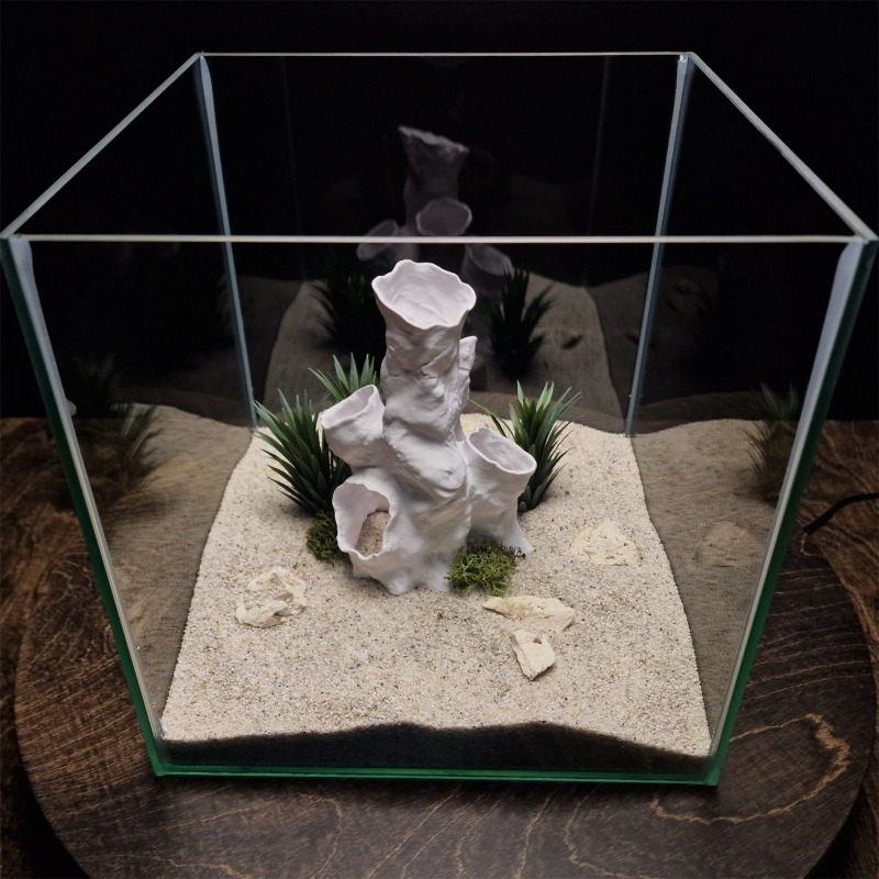 Promo Terbatas Terarium Hias 3 - Aquarium Fish Sale ulasan dan harga