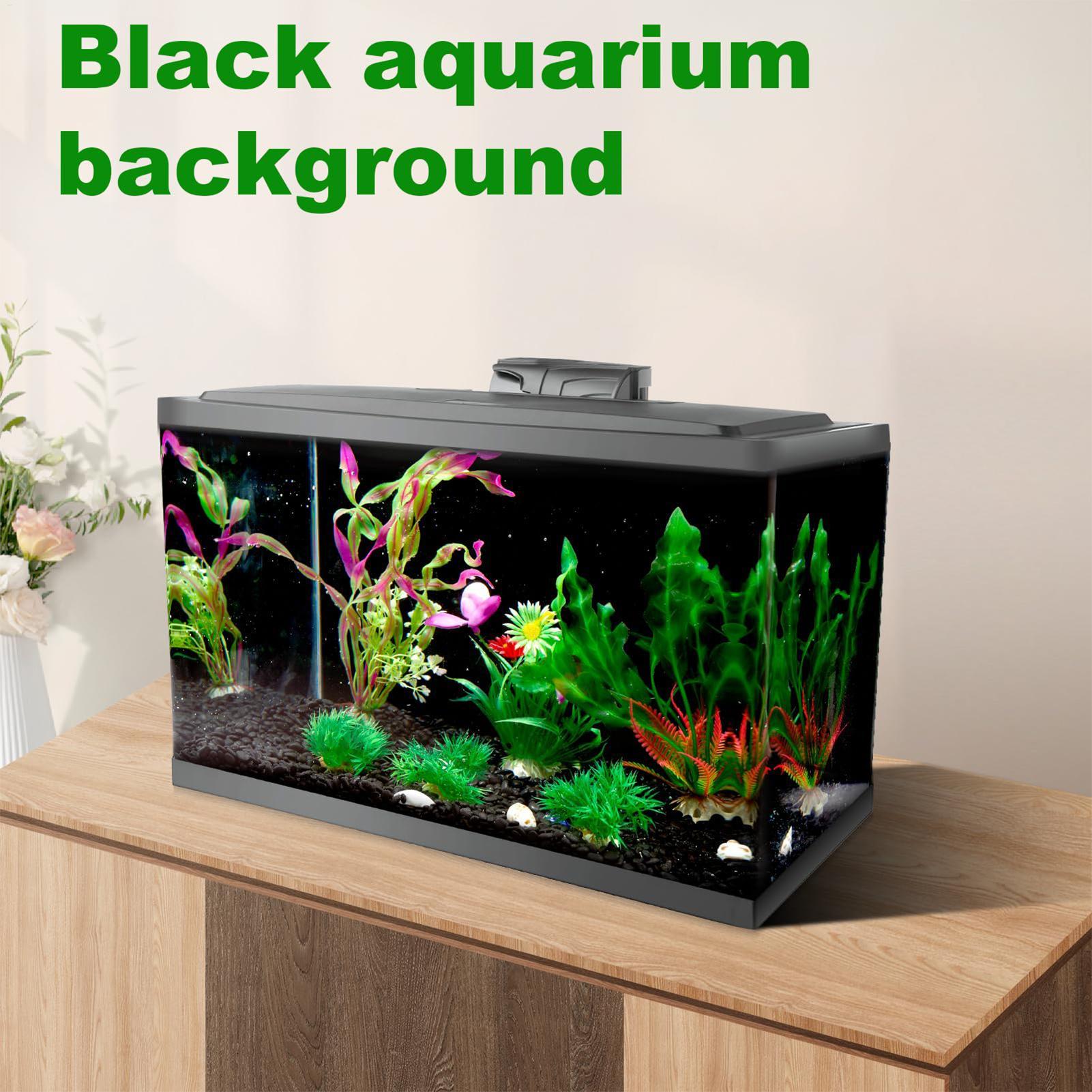 Stiker Latar Belakang Akuarium - Aquarium Fish Poster ulasan dan harga