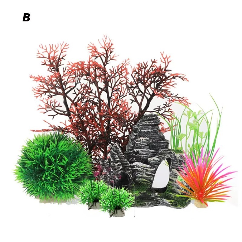 10pcs Penjualan Terlaris Produ - Aquarium Fish Sale ulasan dan harga