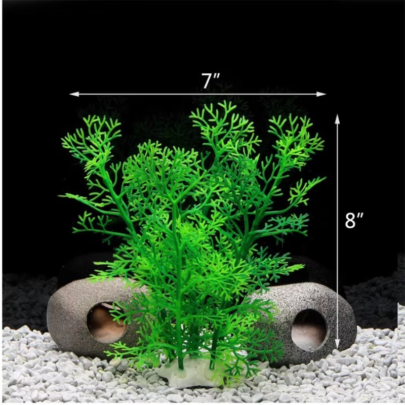10pcs Penjualan Terlaris Produ - Aquarium Fish Sale ulasan dan harga