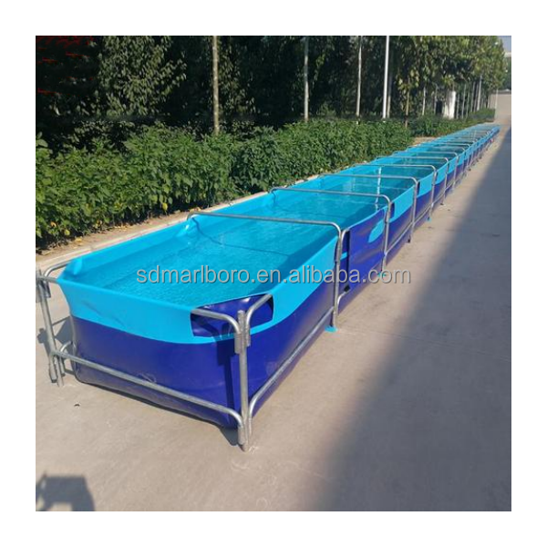 AIROW Tangki Ikan Akuarium Per - Aquarium Fish Sale ulasan dan harga
