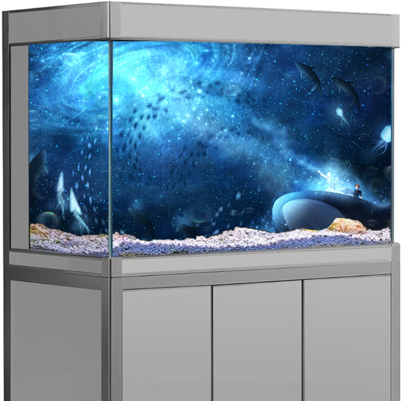 Stiker Latar Belakang Akuarium - Aquarium Fish Wallpaper Hd ulasan dan harga