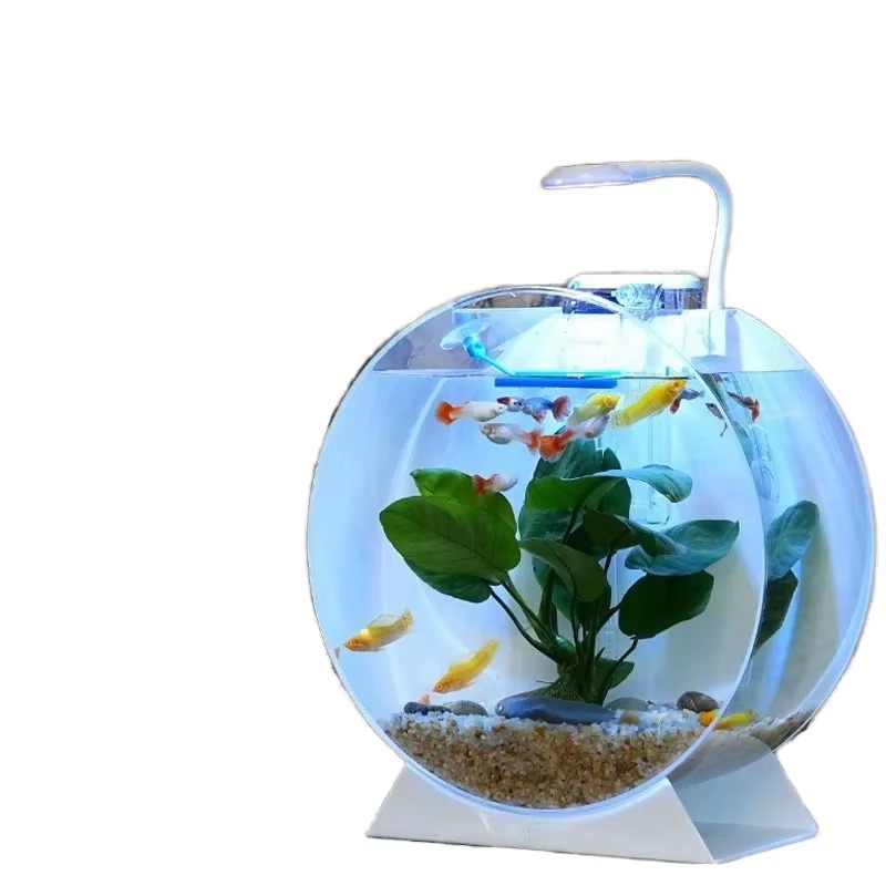 Akuarium Akrilik Modern Ramah  - Aquarium Fish Sale ulasan dan harga