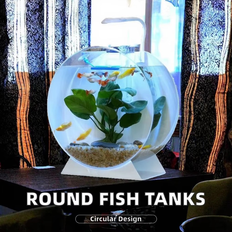 Akuarium Akrilik Modern Ramah  - Aquarium Fish Sale ulasan dan harga