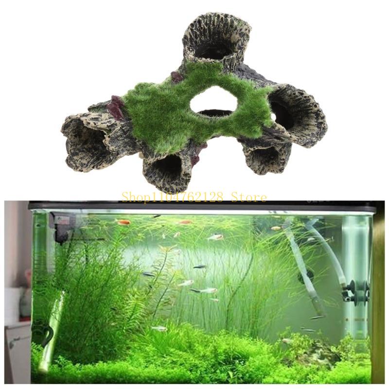 untuk Dekorasi Tangki Akuarium - Aquarium Fish Sale ulasan dan harga