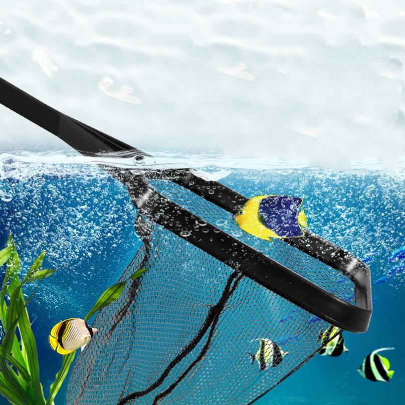 Jaring Ikan Plastik Teleskopik - Aquarium Fish Big ulasan dan harga