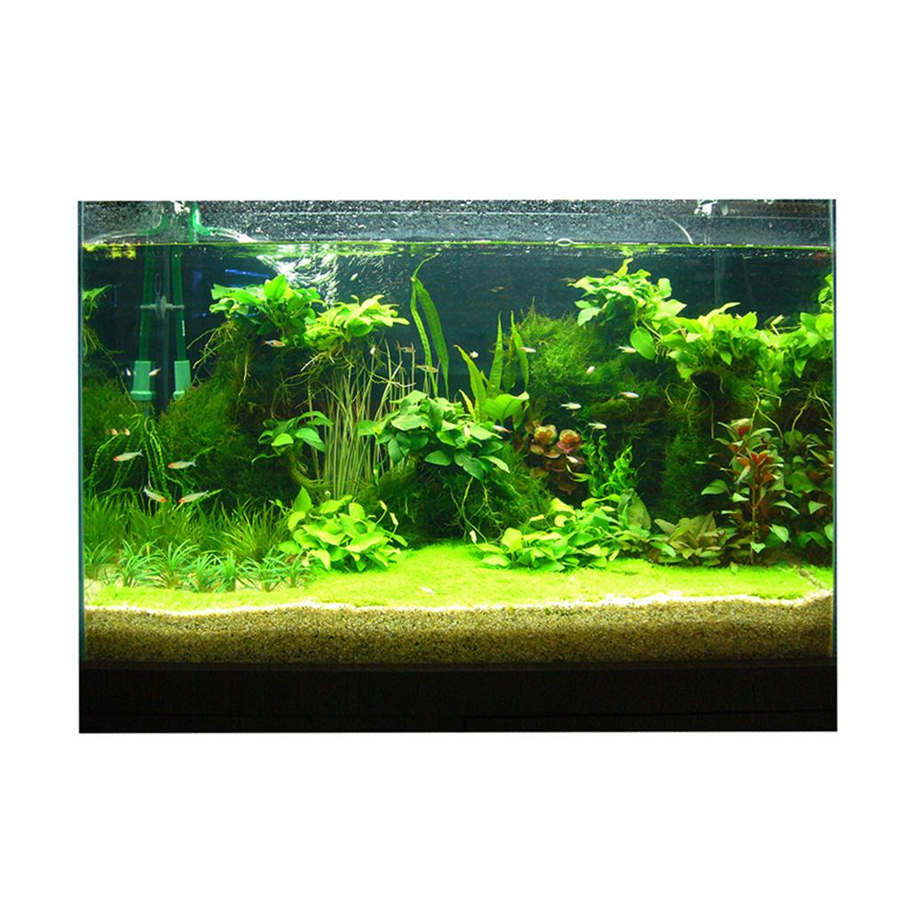 Stiker Latar Belakang 3D Akuar - Fish In Aquarium Picture ulasan dan harga