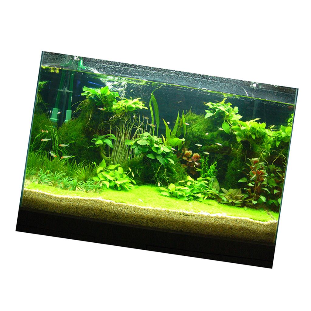 Stiker Latar Belakang 3D Akuar - Fish In Aquarium Picture ulasan dan harga