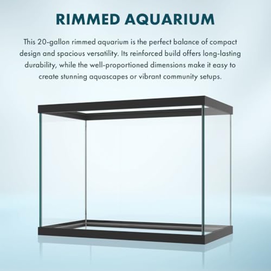 Akuarium Kaca 20 Galon - 24 x  - Aquarium Fish Big ulasan dan harga