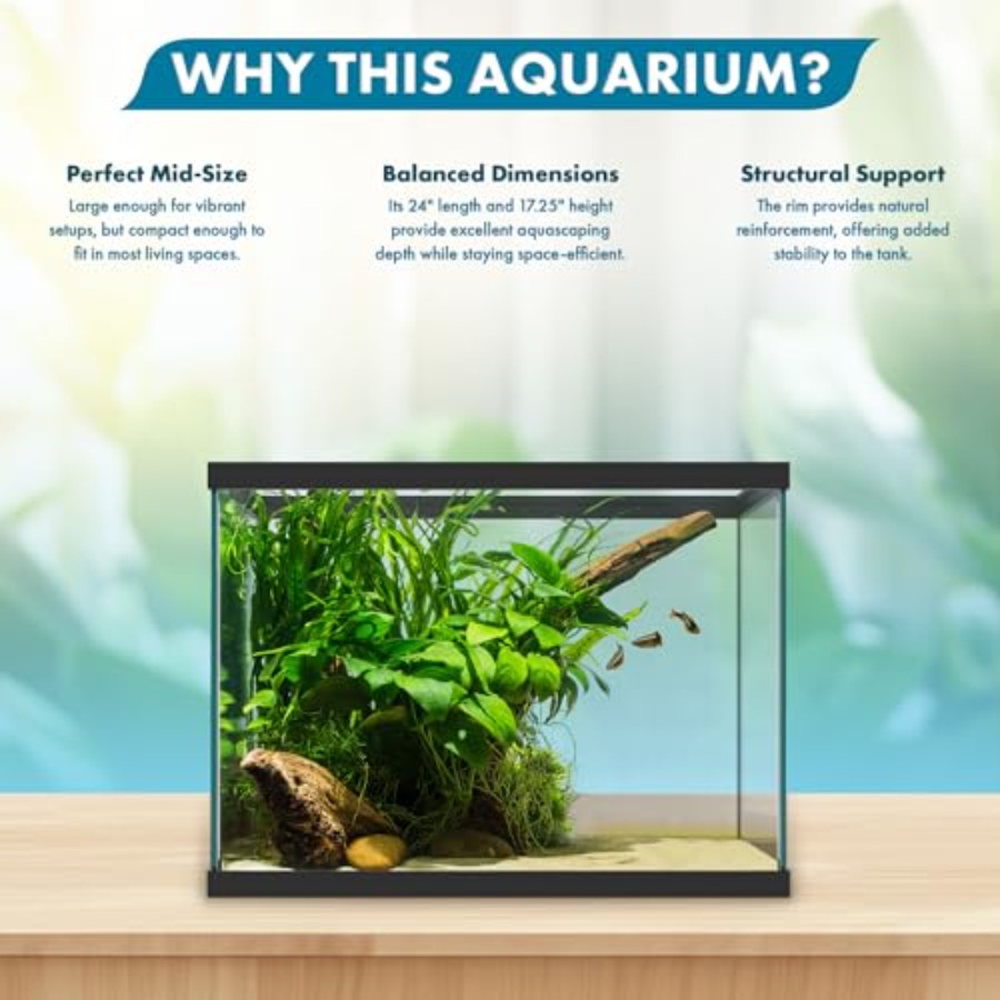 Akuarium Kaca 20 Galon - 24 x  - Aquarium Fish Big ulasan dan harga