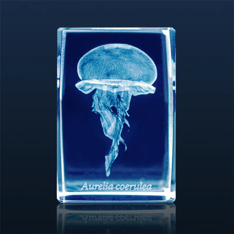 Jepang Gashapon ubur-ubur 3D k - Aquarium Fish Japan ulasan dan harga