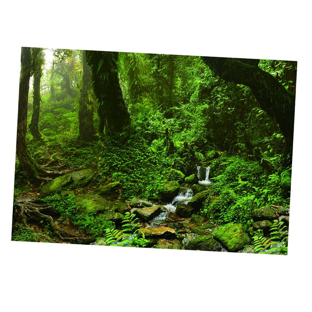 Poster Latar Belakang Akuarium - Aquarium Fish Poster ulasan dan harga