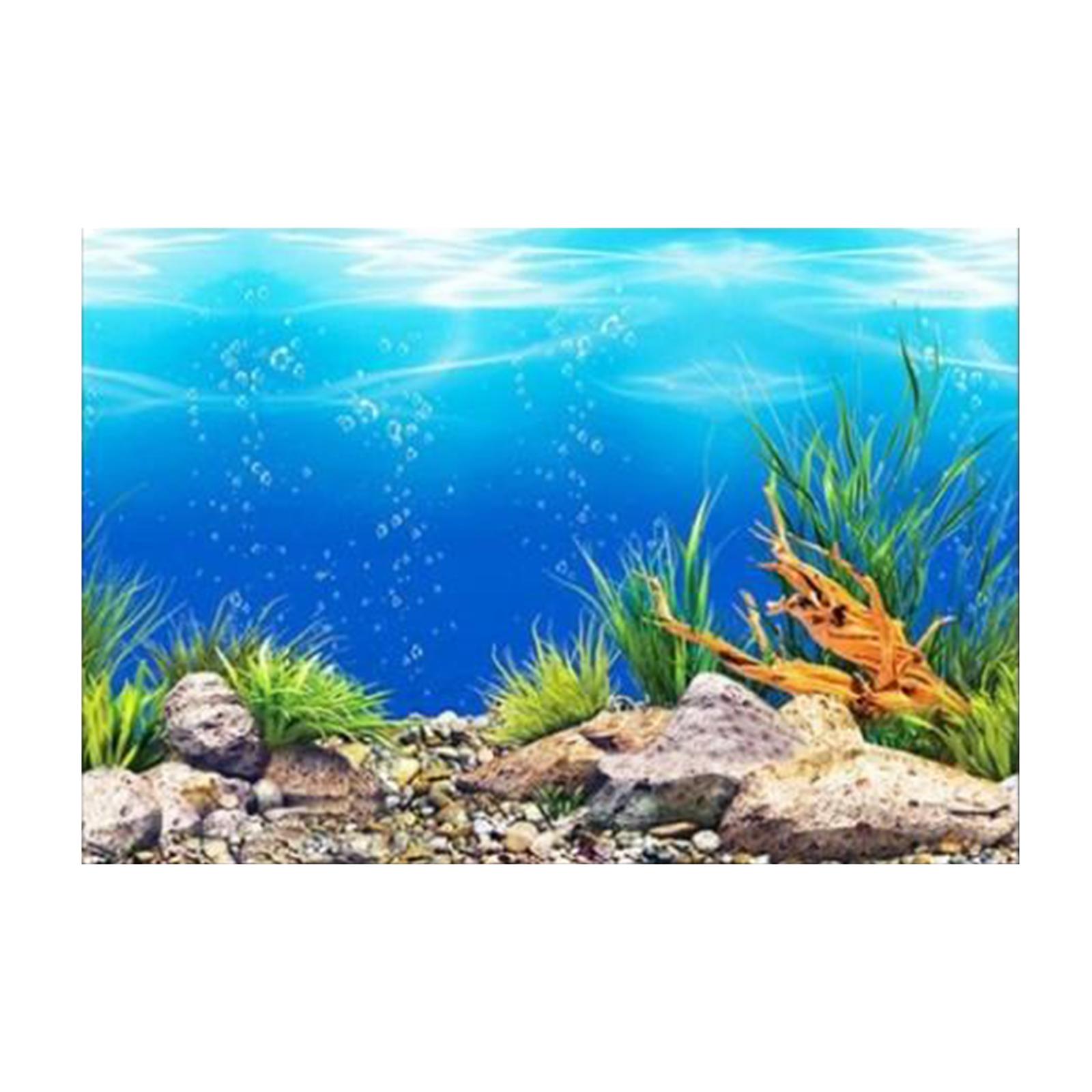 Poster Latar Belakang Akuarium - Aquarium Fish Poster ulasan dan harga