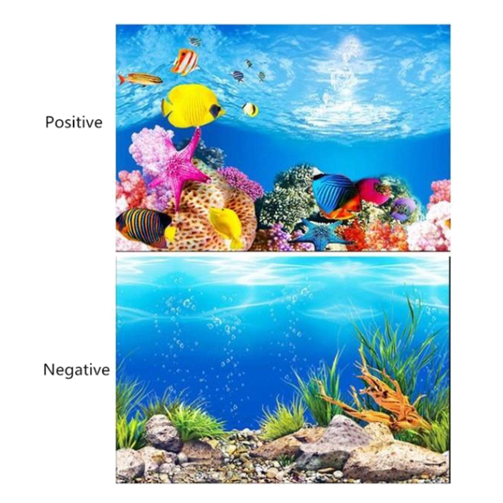 Poster Latar Belakang Akuarium - Aquarium Fish Poster ulasan dan harga