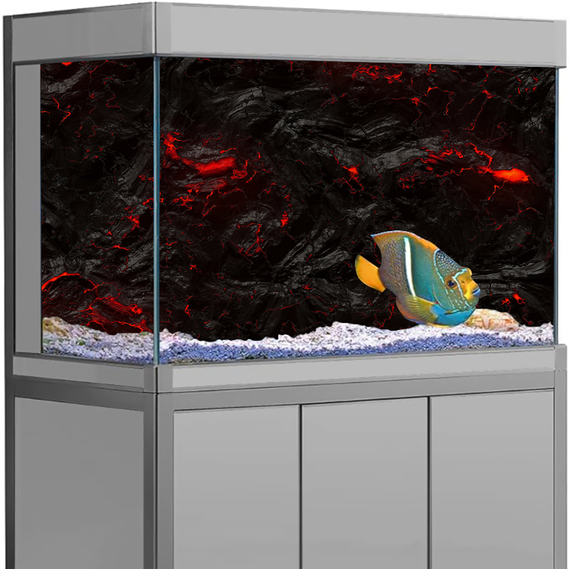 Stiker Latar Belakang Akuarium - Aquarium Fish Wallpaper Hd ulasan dan harga
