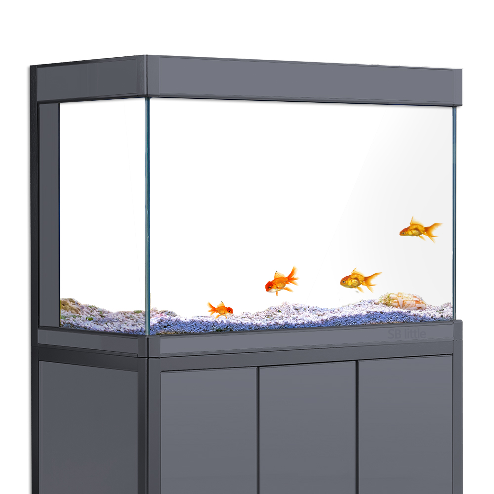 Latar Belakang Akuarium Statis - Aquarium Fish Poster ulasan dan harga