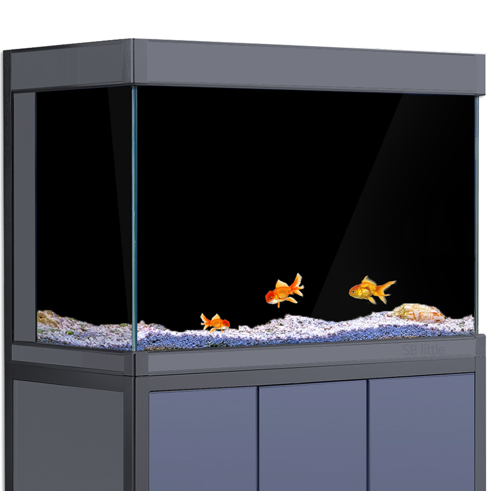 Latar Belakang Akuarium Statis - Aquarium Fish Poster ulasan dan harga